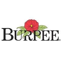 Burpee Black Friday