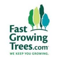 Fast Growing Trees Black Friday